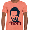Breaking Bad - Bitch 5