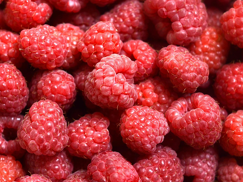 Frutas Rojas