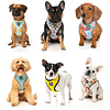 Arnes para perros Fuzzyard