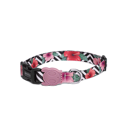 Zeedog collar