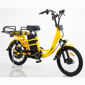 Ebike Delivery