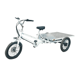 Tricicleta Cargo Flat