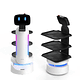 ServeBot S1